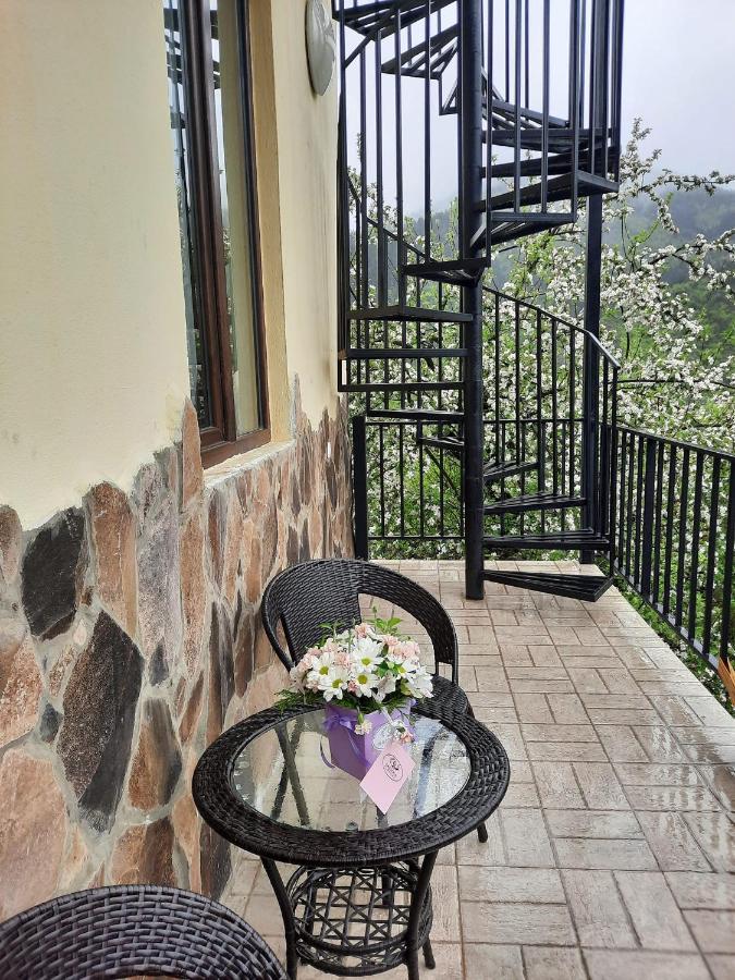 Guest House Bochora Borjomi Exterior foto