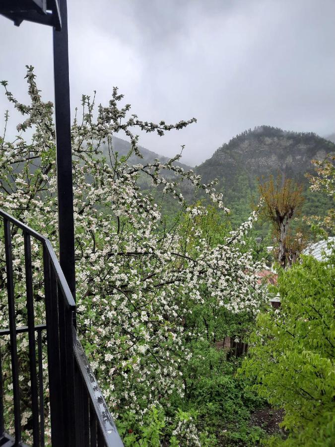 Guest House Bochora Borjomi Exterior foto